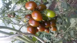 20180805_182217.webp