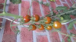 20180805_182152.webp