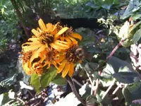 BILD0492.webp