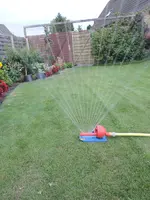 DSCN8328.webp