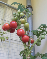 20180806_102725-1.jpg