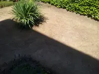 15335478866041067094079.webp