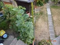 DSC01371.webp
