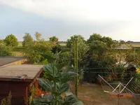 DSC01373.webp