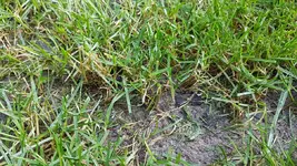 20180801_183522.webp