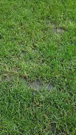 20180801_183517.webp