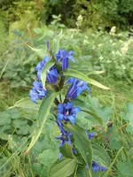 100_0505.webp