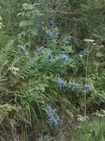100_0508.webp