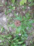 100_0531.jpg