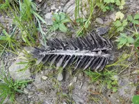 100_0537.webp
