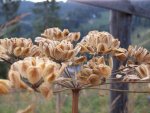 100_0551.jpg
