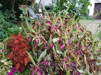 20180731_183033.webp