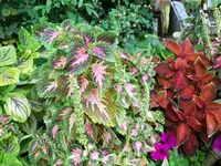 20180731_183029.webp