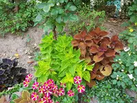 20180731_182948.webp