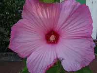 DSC03579.webp