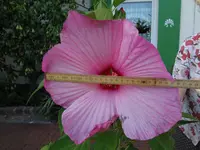 DSC03578.webp