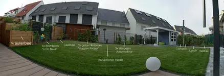 Untitled_Panorama1.webp
