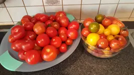 ernte-samstag.jpg
