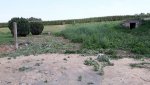 unkrautrodung.jpg