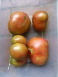 P1100624Green Cherry Frucht.jpg