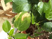 20180807_164627.webp