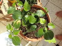 20180807_164624.webp
