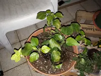 20180806_212355.webp