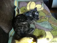 IMGP6558.webp