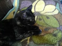 IMGP6559.webp