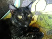 IMGP6561.webp