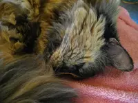 IMGP6565.webp