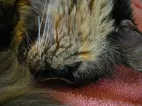 IMGP6566.webp