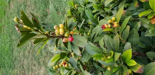 20180808_183958.webp