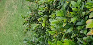 20180808_183952.webp