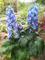IMG_20180808_180649.webp