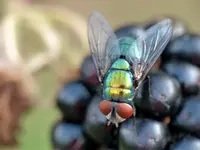 image016.webp