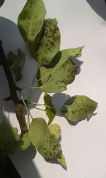 20180809_133623-1.webp