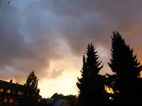 P1100627.webp