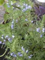 BILD0468.webp