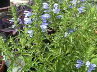 BILD0473.JPG