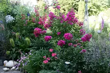Terasse  3118.webp