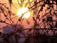 image004.webp