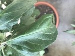 IMG_4228.jpeg