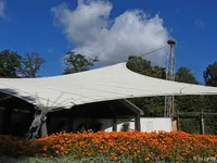 c005.jpg