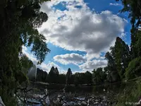 c006.webp