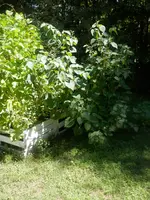 P8090676.webp