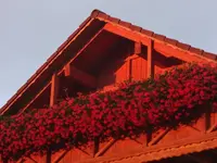 DSC03590.webp