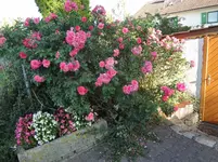 DSC03580.webp
