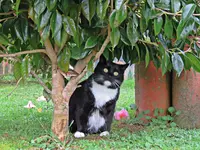 IMG_1179v (2).webp