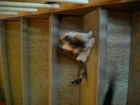 IMGP6587.webp